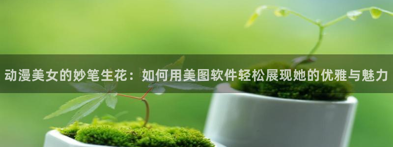 魔道祖师天天动漫：动漫美女的妙笔生花：如何用美图软件轻松展现她的优雅与魅力