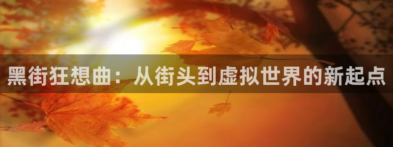 天天动漫下载：黑街狂想曲：从街头到虚拟世界的新起点